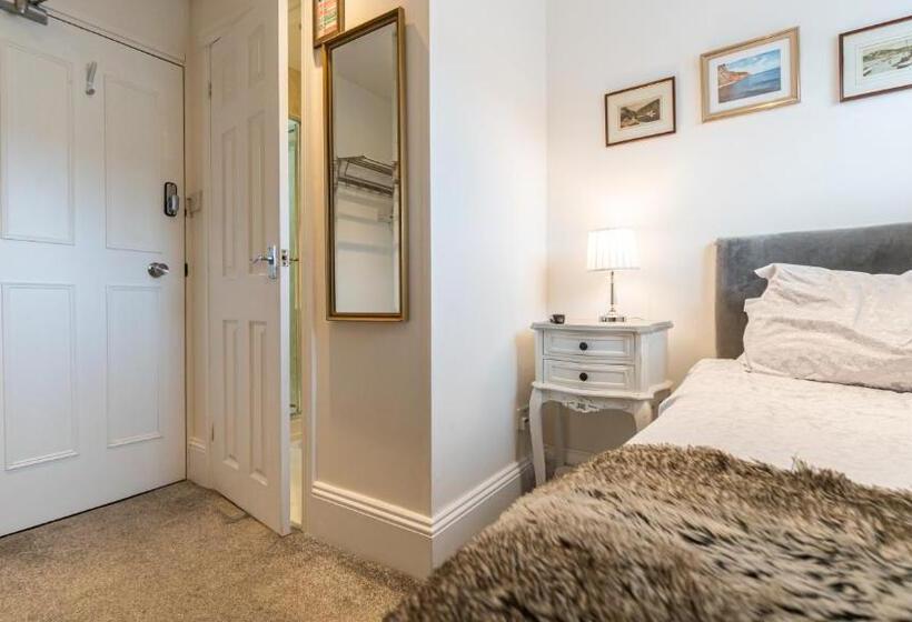 シングルベーシックルーム, Trefoil Guest House