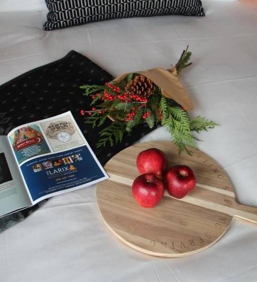 חדר קלאסי לארבעה, The Larix