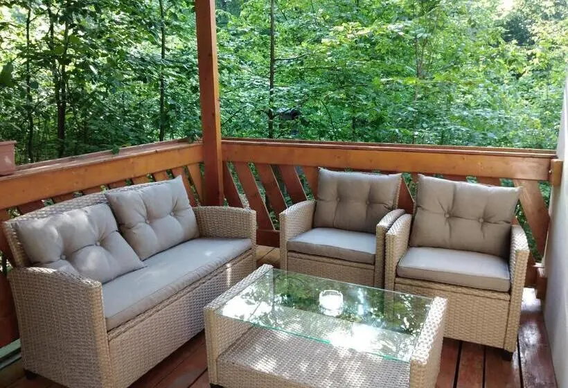 １ベッドルームのスーペリアアパートメント, Pintea Chalet