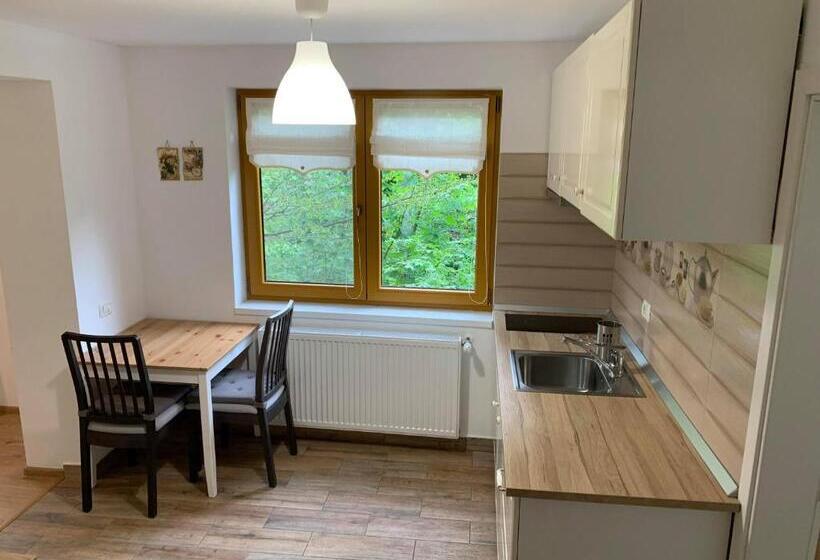 침실 1개 수피리어 아파트, Pintea Chalet