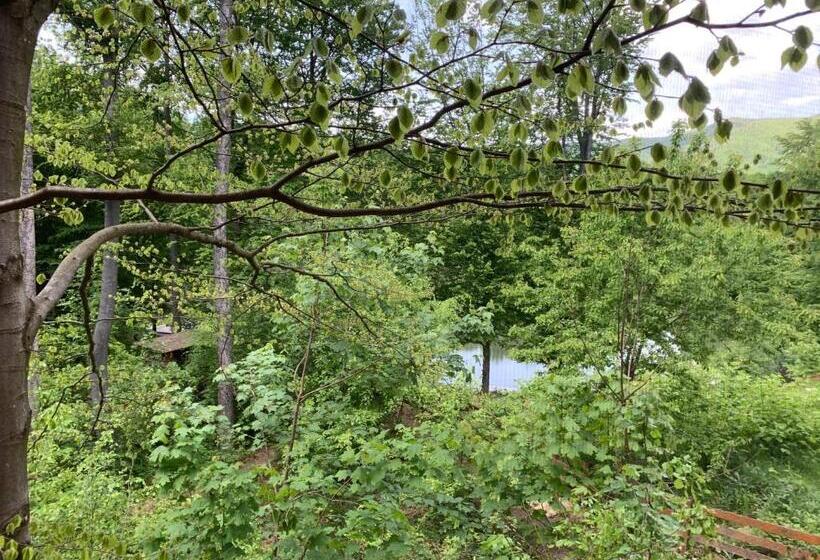 Standard studio with lake view, Pintea Chalet