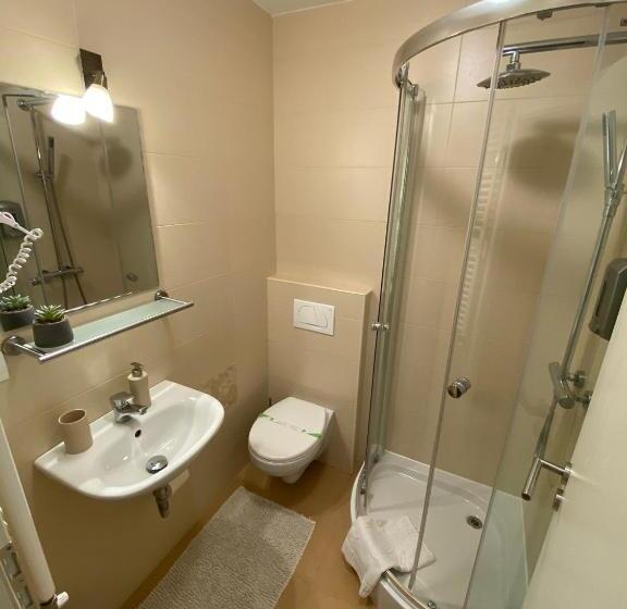 Standard studio with lake view, Pintea Chalet