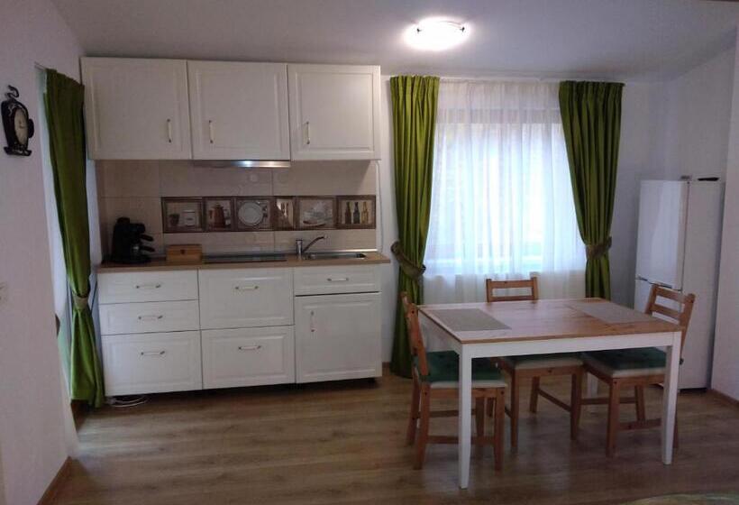 Standard studio with lake view, Pintea Chalet