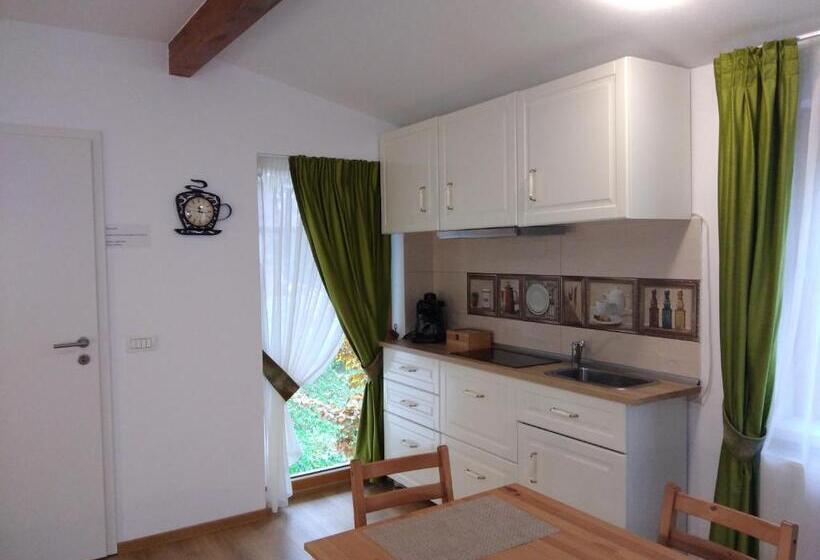 Standard studio with lake view, Pintea Chalet