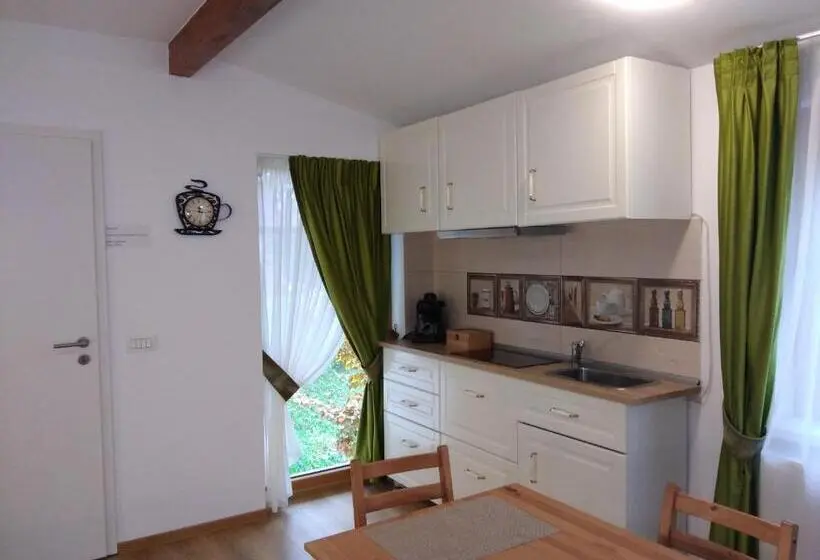 Standard studio with lake view, Pintea Chalet
