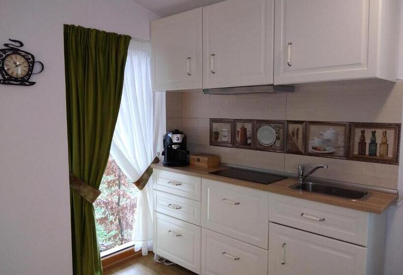 Standard studio with lake view, Pintea Chalet