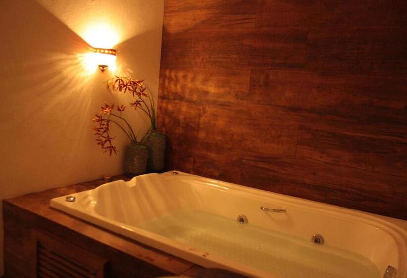 キングサイズベッドのスタンダードルーム, Pousada Vila Rosada