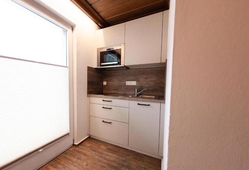 스탠다드 스튜디오, Pension Gletscherblick