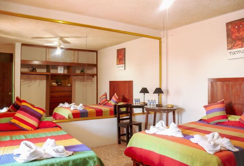 اتاق استاندارد, Posada Don Mario