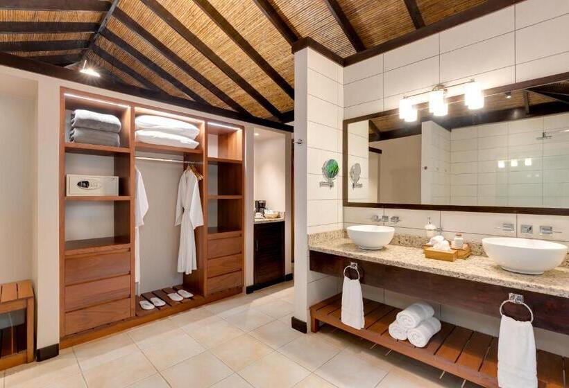 غرفة قياسية سرير كينج, Catarata Río Celeste