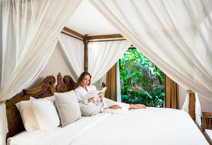 غرفة قياسية سرير كينج, Catarata Río Celeste