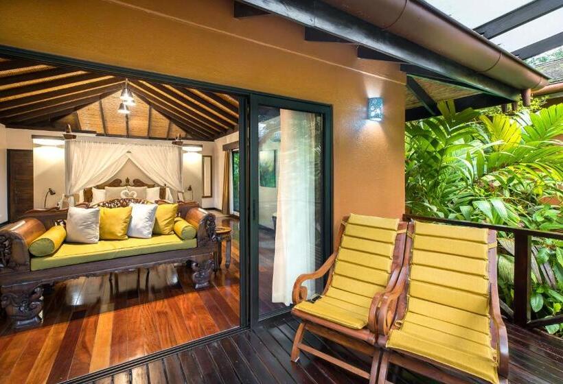 غرفة قياسية سرير كينج, Catarata Río Celeste