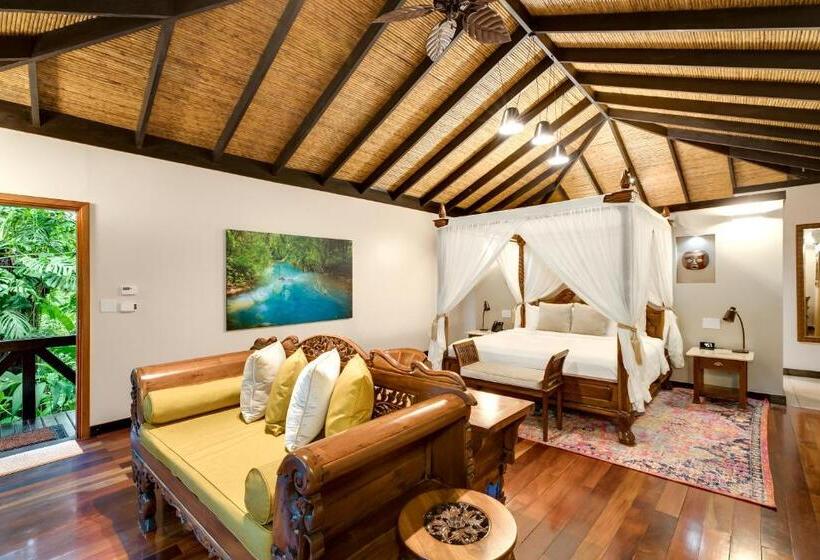 غرفة قياسية سرير كينج, Catarata Río Celeste