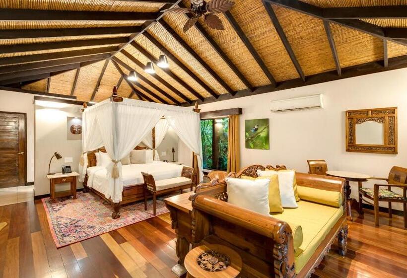 חדר סטנדרט עם מיטת קינג, Catarata Río Celeste