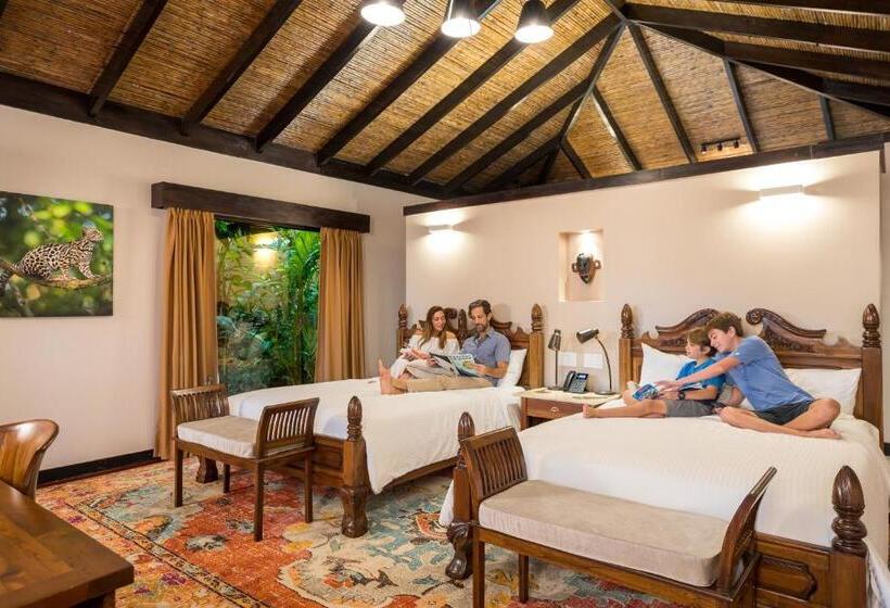 חדר סטנדרט עם נוף, Catarata Río Celeste