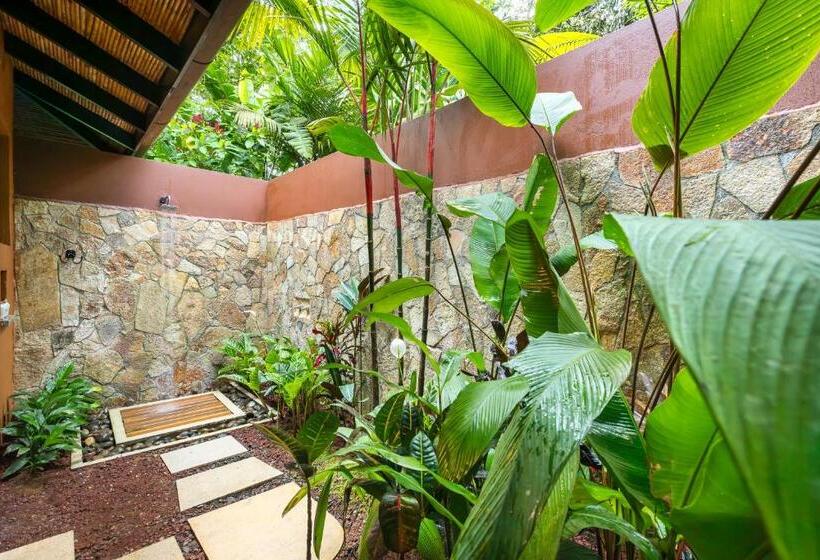 غرفة قياسية مطلّة علي الحديقة, Catarata Río Celeste