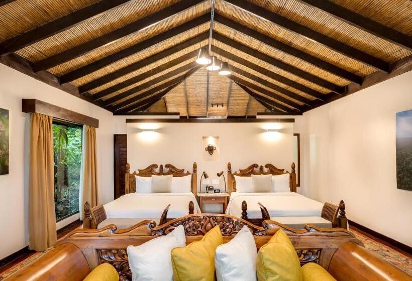 غرفة قياسية مطلّة علي الحديقة, Catarata Río Celeste