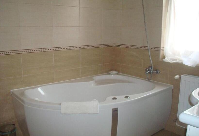 高级工作室, Guesthouse Kohári