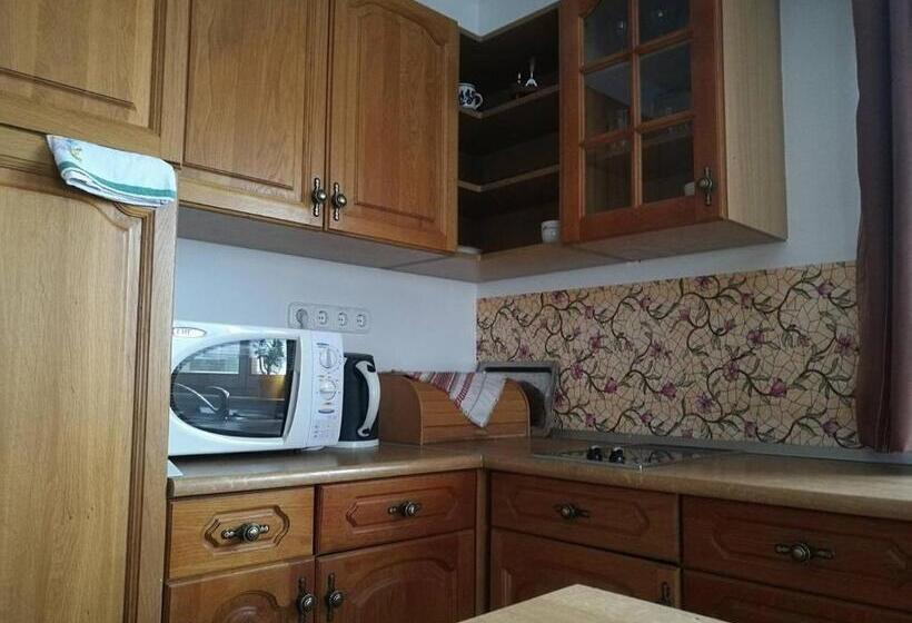 高级工作室, Guesthouse Kohári