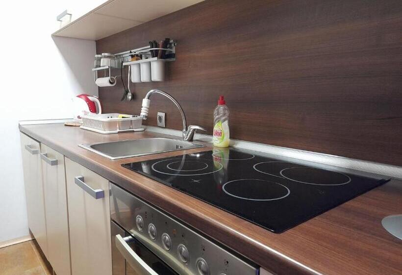 استودیوی استاندارد, Sibirska Central