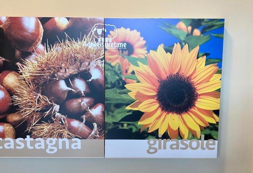 اتاق لوکس, Agriturismo Agrileisuretime