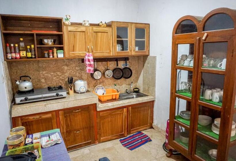 חדר אקונומי, Rumah Panjaitan