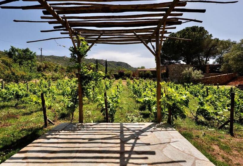 Трехместный Номер Superior, Domaine Pozzo Di Mastri