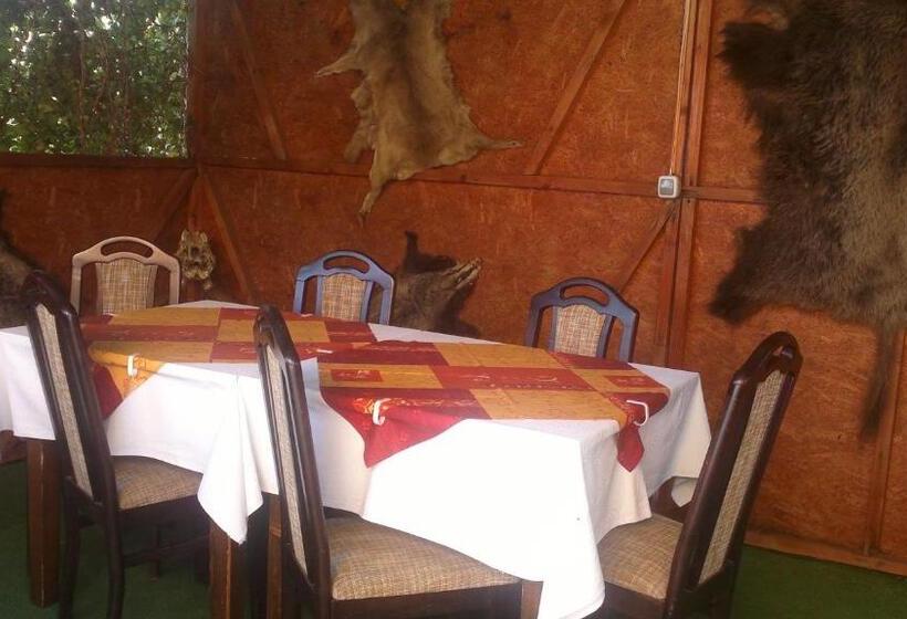 スタンダードシングルルーム, Pensiunea Cristiana   Murighiol