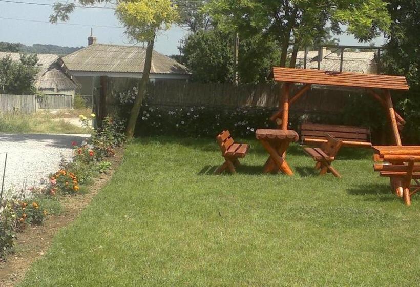 스탠다드 싱글 룸, Pensiunea Cristiana   Murighiol