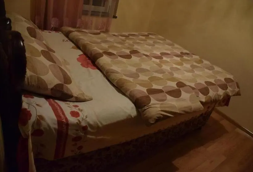 اتاق استاندارد با سرویس بهداشتی مشترک, Medico And Suliko Guest House