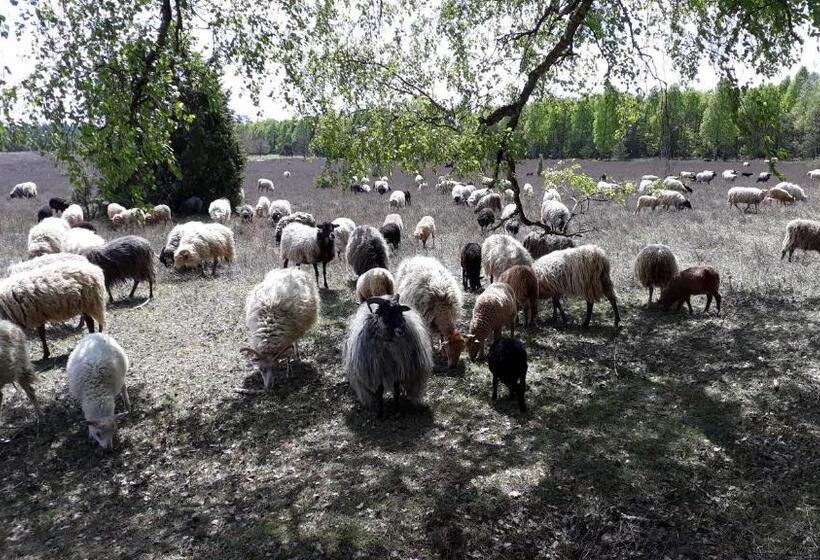 منزل غرفتين نوم, Naturhotel Hof Ehlers