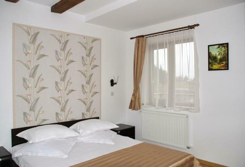 스탠다드 룸, Pensiunea Viodor