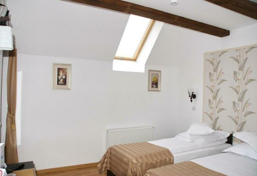 스탠다드 룸, Pensiunea Viodor