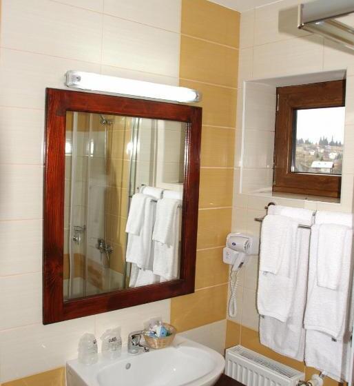 스탠다드 룸, Pensiunea Viodor