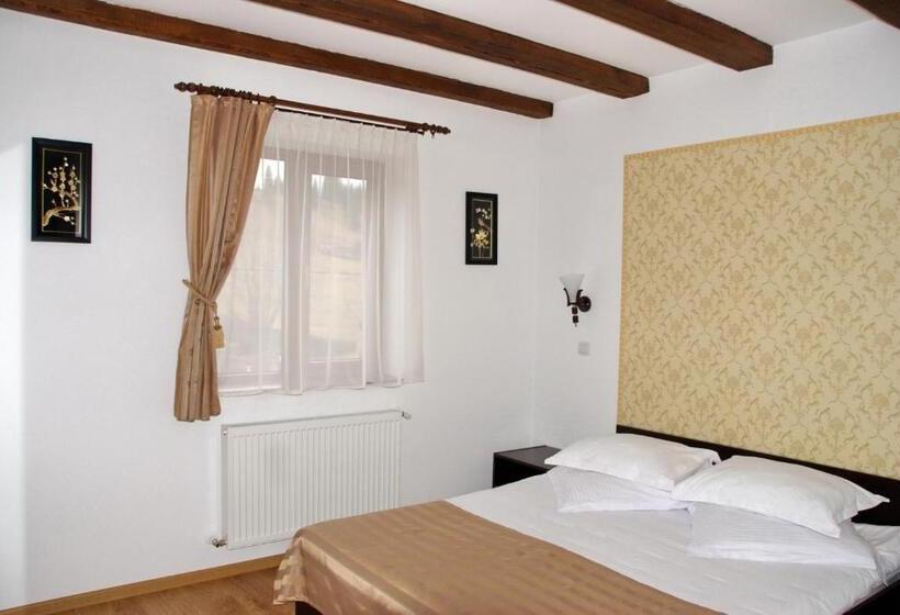 스탠다드 룸, Pensiunea Viodor