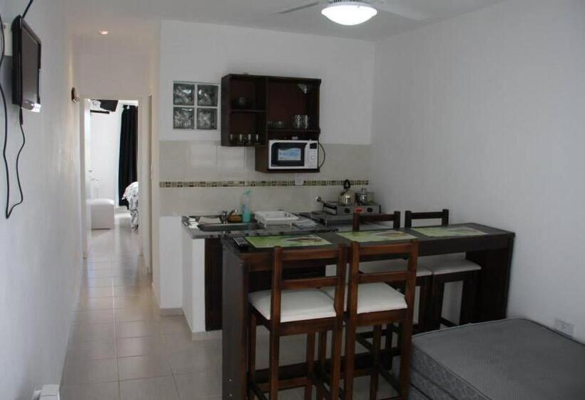 آپارتمان خانوادگی, Hanna Apart