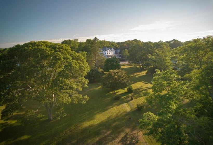 スタンダードルーム, The Chequit