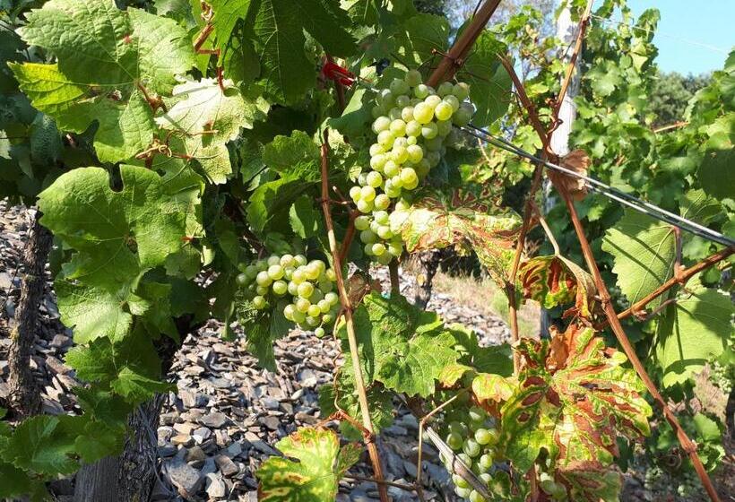 스탠다드 발코니 룸, Gaestehaus Jufferpanorama