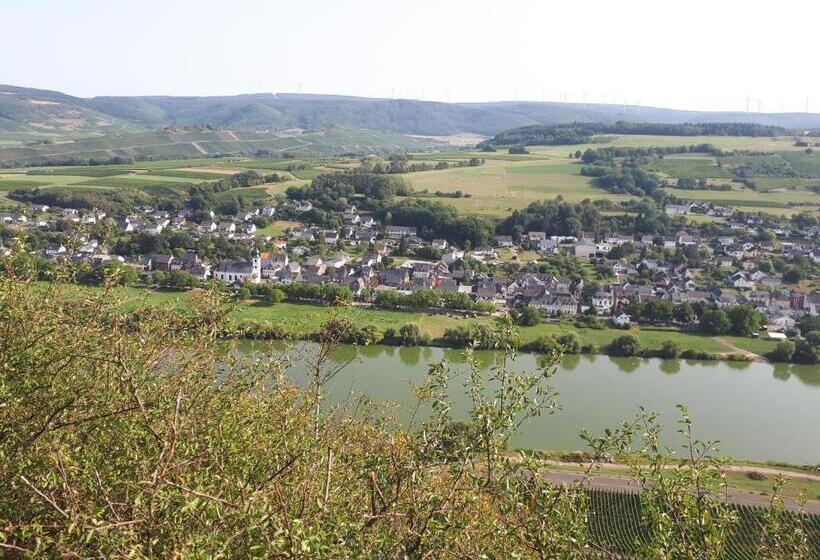 스탠다드 테라스 룸, Gaestehaus Jufferpanorama