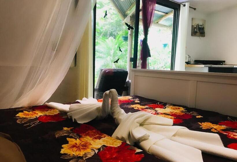 غرفة أساسية ثلاثية, Hacienda Sassenberg