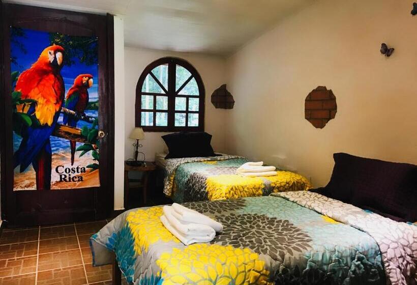 غرفة أساسية ثلاثية, Hacienda Sassenberg