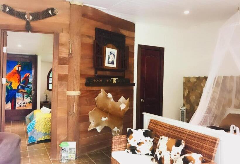 غرفة أساسية ثلاثية, Hacienda Sassenberg