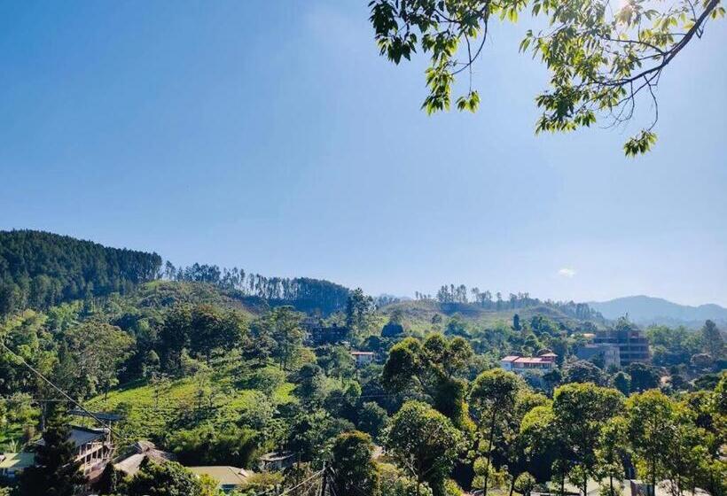 マウンテンビュースタンダードルーム, The Rock Face