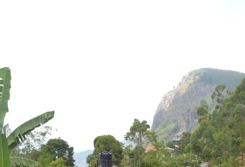 キングサイズベッドのスーペリアルーム, The Rock Face