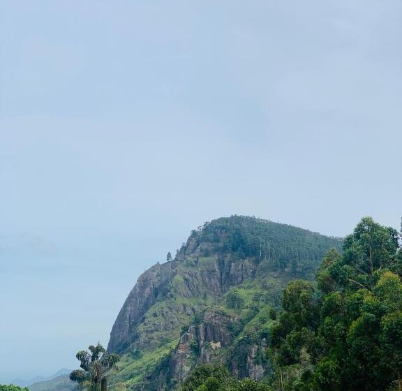 景色の見えるデラックスルーム, The Rock Face