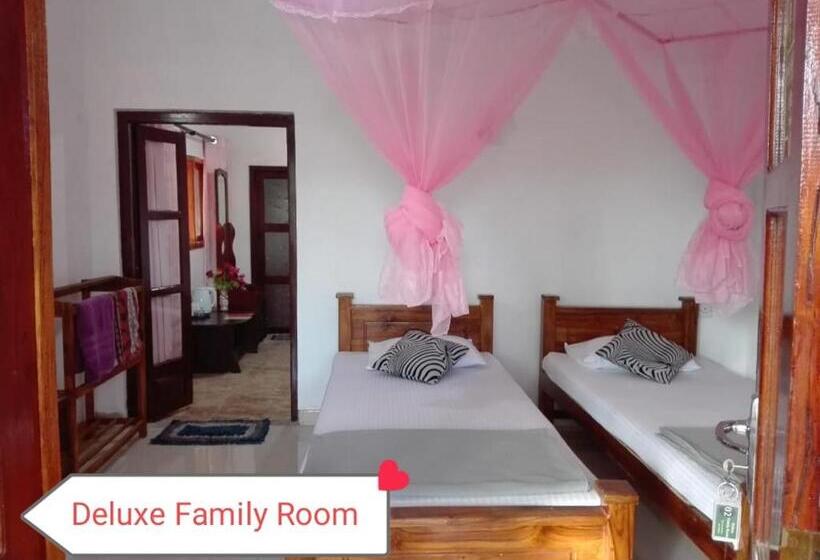 デラックスファミリールーム, The Rock Face