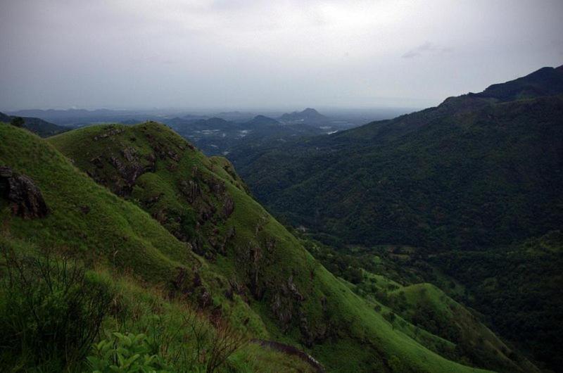 キングサイズベッドのスーペリアルーム, The Rock Face