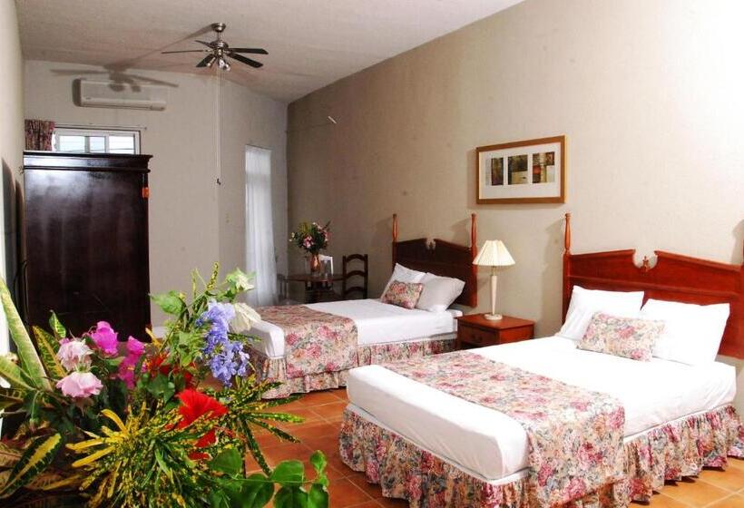 اتاق لوکس, Guest House Villa Mishkan