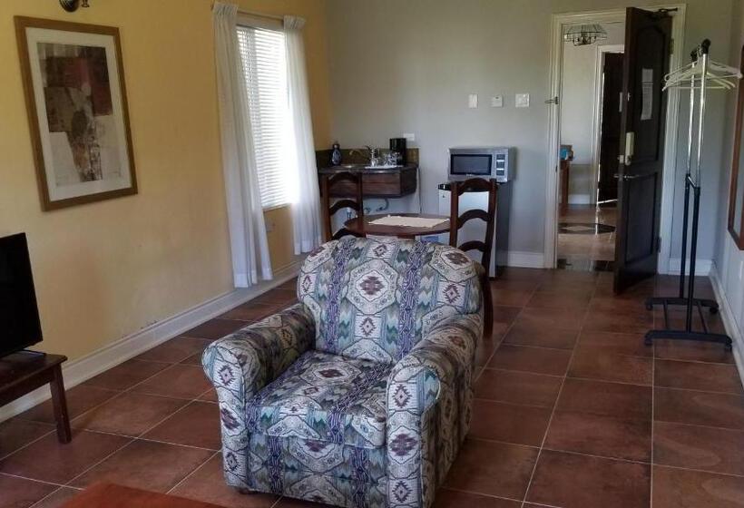 استودیوی لوکس, Guest House Villa Mishkan