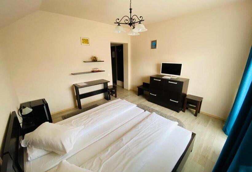 غرفة قياسية, Vila Old Cars